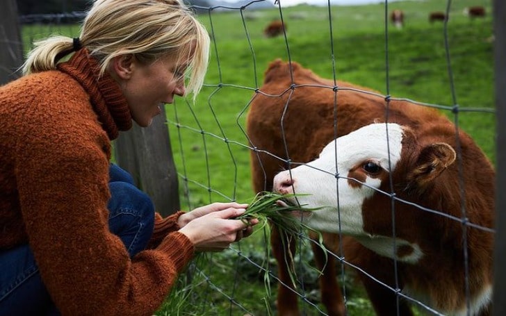 Jessy Schram in a brown turtle neck sweater and blue jeans feeding a cow.